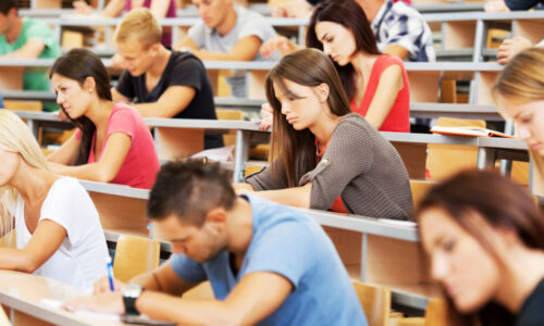 الصورة المصغرة للدورة