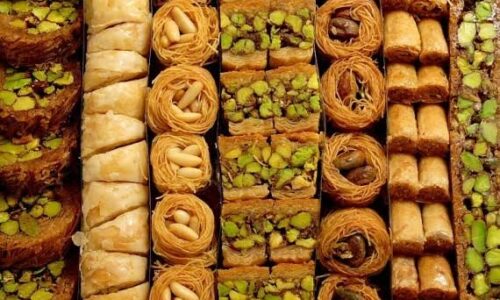 الصورة المصغرة للدورة